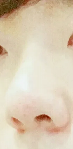 [プチ] チョン・デフン - 鼻