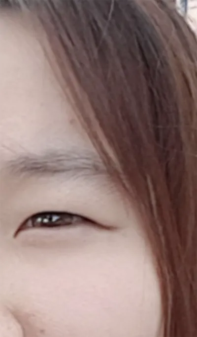 [目] ホドリヤム - 目