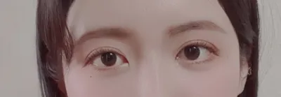 [目] ホオールス - 目